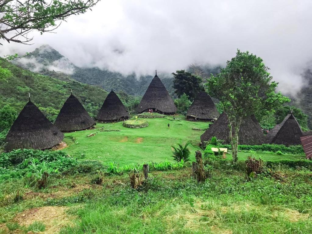 KOMODO One love Homestay&Tour Labuan Bajo Exterior foto